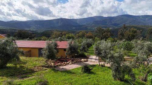 a house in a field with mountains in the background at Quinta-lina de serpins in Serpins