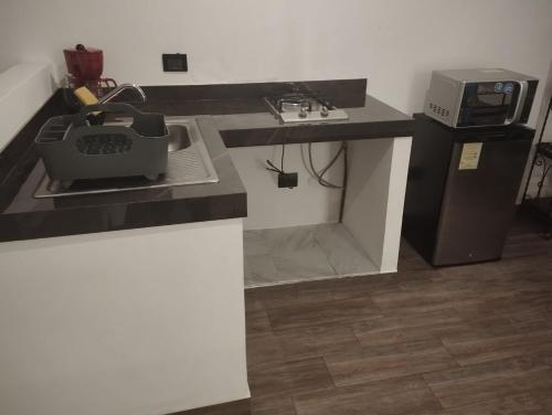 a kitchen counter with a sink and a microwave at Hermosos departamentos en el centro de Coatepec Veracruz in Coatepec
