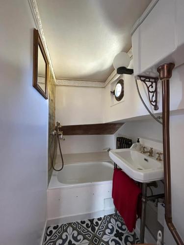 a bathroom with a sink and a bath tub at Hausboot Jonathan in Hamburg