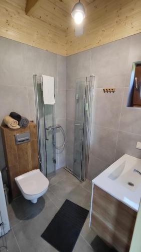 a bathroom with a shower and a toilet and a sink at Domek Na Łące in Silna Nowa