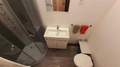 bagno con doccia, lavandino e servizi igienici di Tiny House du Pigeonnier a Baincthun