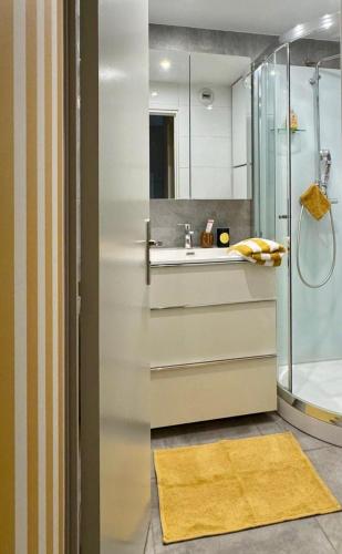 une salle de bain avec douche et lavabo dans l'établissement Appartement cosy avec balcon, 1 chambre à Sainte Maxime, à Sainte-Maxime