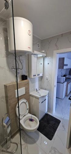 Koupelna v ubytování Apartman Stefan Tomić-Srebrno jezero