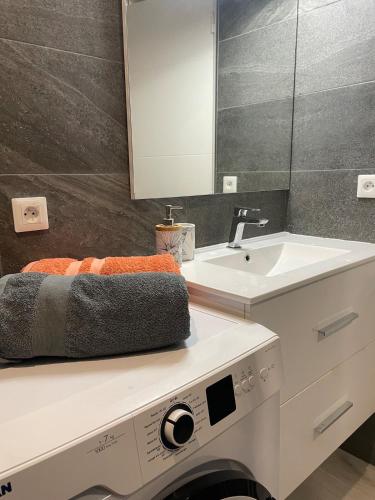 a bathroom with a sink and a mirror at Studio Marigot Fort Louis in Marigot