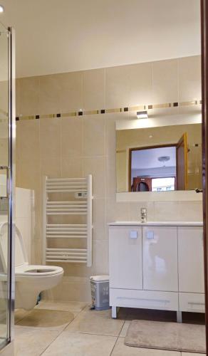 une salle de bain avec toilettes, lavabo et miroir dans l'établissement Studio meublé-Juan Pins-Logt3, à Antibes