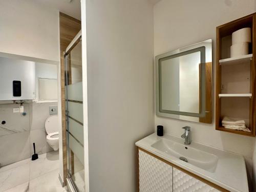 a bathroom with a sink and a mirror and a toilet at Le Graoully in Metz