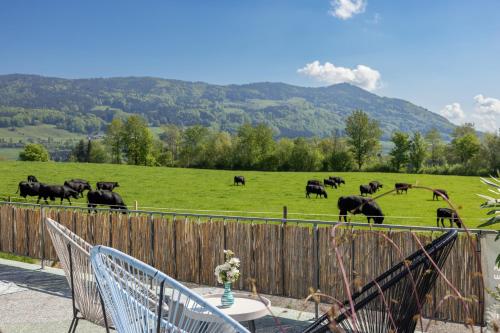 Ein allgemeiner Bergblick oder ein Berglick von des Privatzimmers aus