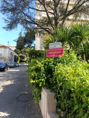 Résidence Côte d'Azur Cannes photo 64