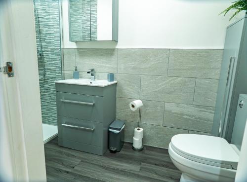 a bathroom with a toilet and a sink at Pine cottage with private hot tub in Upper Hulme