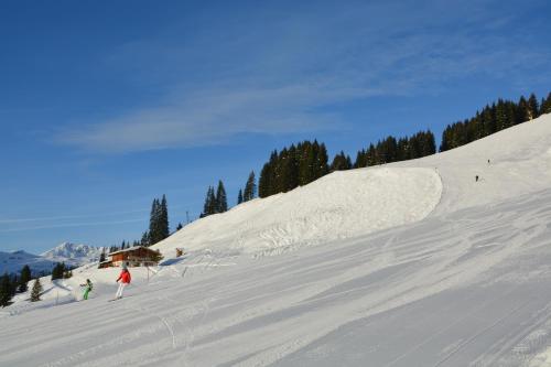 Wallegg Lodge - Alpine Premium Chalet - Ski In-Ski Out - Real Alpine Location Saalbach