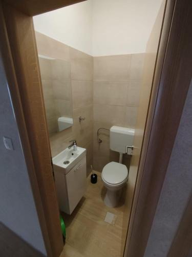 a small bathroom with a toilet and a sink at Brine in Starigrad-Paklenica