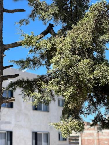Fotografie z fotogalerie ubytování Hotel Caminos v destinaci Chignahuapan