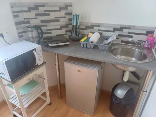 a kitchen counter with a sink and a microwave at Le minimaliste in Pamiers