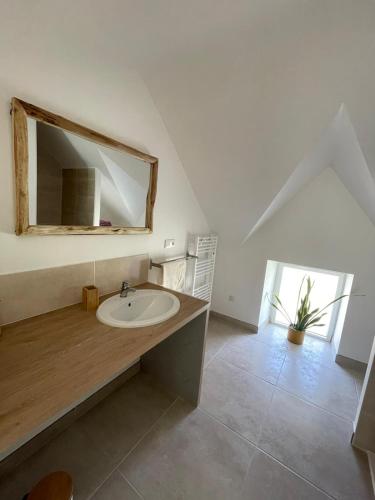 a bathroom with a sink and a mirror at Gîte de penhaudan 1 in Pont-Scorff