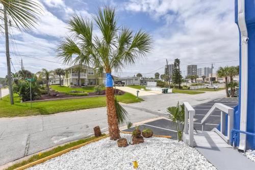 a palm tree sitting on the side of a street at Modern King Suite #12 - Steps to Beach in Daytona Beach