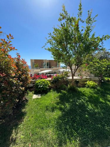 a green yard with a tree and a building at Whisky Green Coast Hotel & Apartments in Palasë