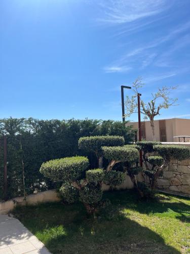 a bush with flowers on it next to a wall at Whisky Green Coast Hotel & Apartments in Palasë