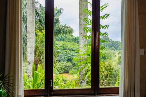 a window view of a jungle view from a hotel room at Putini Pousada e Hotel by OYO in São Roque