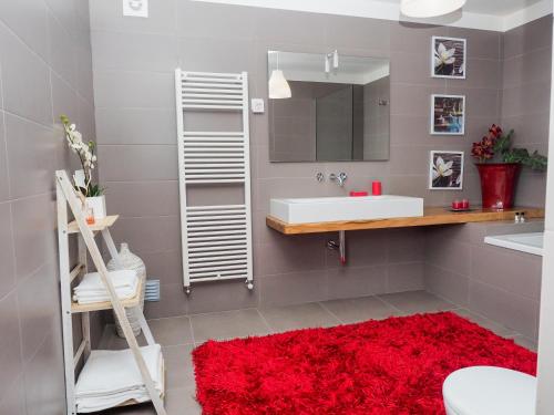 a bathroom with a sink and a mirror and a red rug at Casa da Gandarela in Soajo