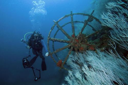 a diver in the water next to a reef at Djibouti Palace Kempinski in Djibouti