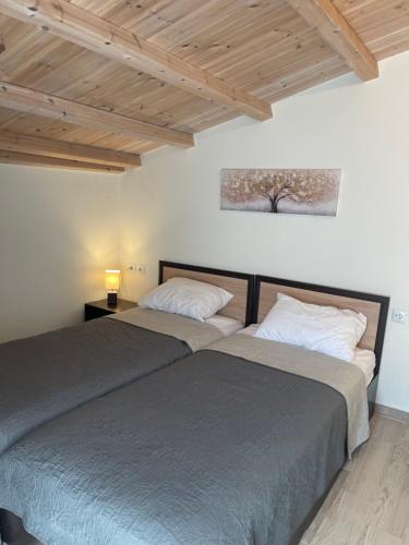 Foto Artemis HOME 2
