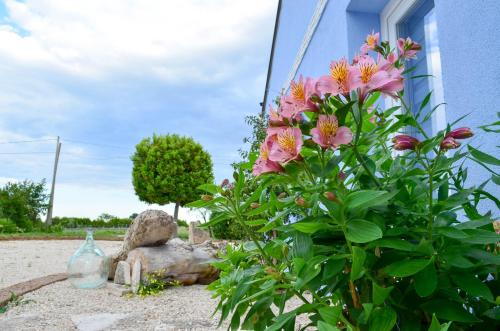 a bush with pink flowers next to a building at B&B Borgo Sabelli - Costa dei Trabocchi in Casalbordino