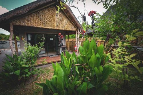 African Excursions Guest lodge