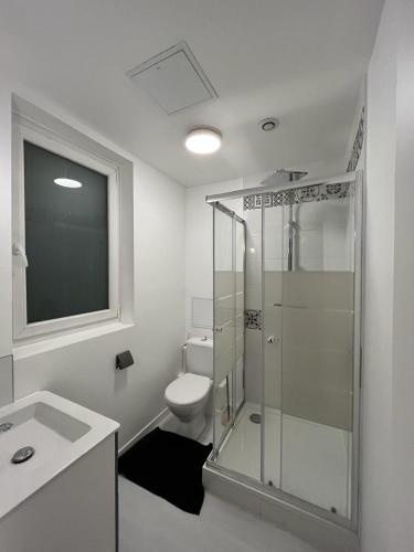 une salle de bain avec toilettes et douche en verre dans l'établissement La Coloc' Rouen Docks T6 4 Bathrooms Garden, à Rouen