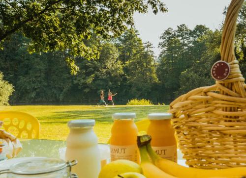 a picnic table with bottles of juice and a basket of fruit at VRBA mobile house by the Kolpa river BIG BERRY Metlika in Metlika
