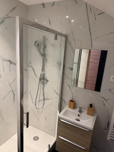 une salle de bain avec douche et lavabo dans l'établissement La suite dorée, à Roubaix