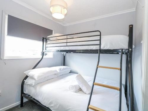 a bedroom with bunk beds and a ladder at California Summers in Great Yarmouth