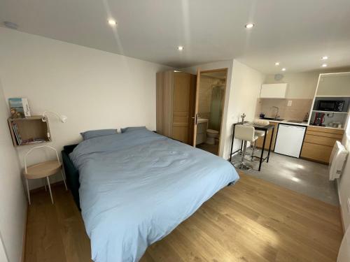 une chambre avec un grand lit et une cuisine dans l'établissement Pixy studio in a central and quiet area near Basel, à Saint-Louis