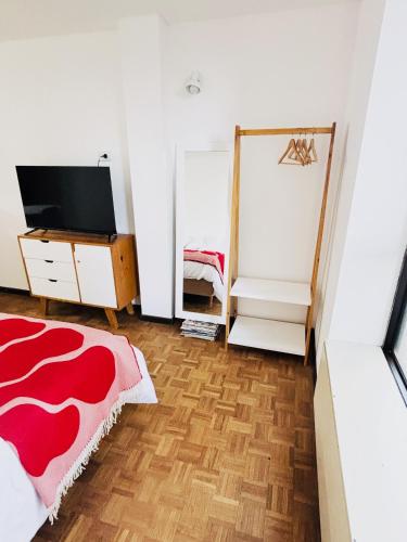 a bedroom with a bed and a tv and a mirror at Hermoso Apartamento en Edificio Saint Michel in Córdoba