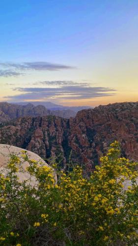 a view of a canyon with trees and mountains at Bedouins camp in Dana in At-Tafilah