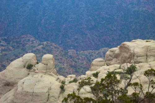 a view of a mountain with rocks and trees at Bedouins camp in Dana in At-Tafilah