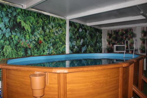 a jacuzzi tub in a room with a mural at D'ouro Relax Prestige in Sanfins do Douro