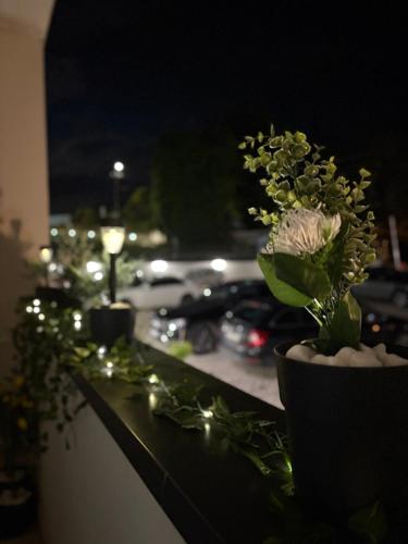 Φωτογραφία από το άλμπουμ του Apartments Dara στο Κότορ