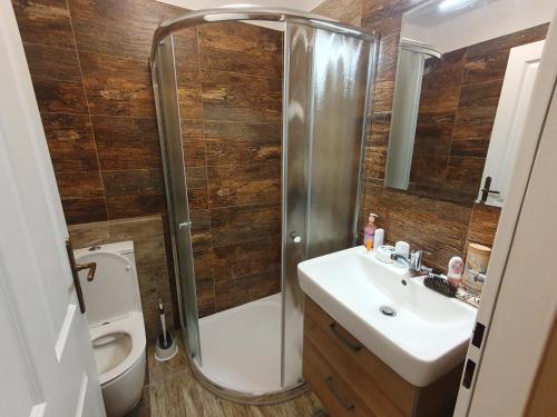 a bathroom with a shower and a sink and a toilet at Statek U Šimla in Lážovice