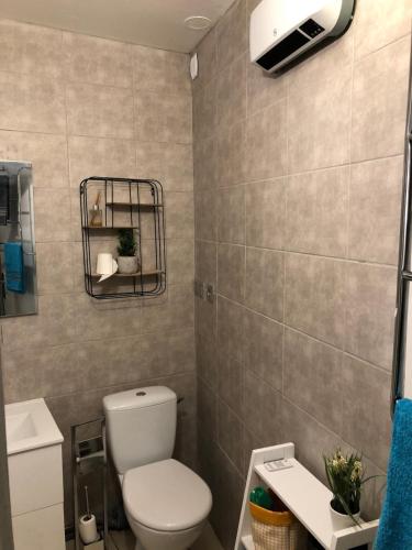 une salle de bain avec toilettes et lavabo dans l'établissement Petit studio coquet à côté des Halles, à Narbonne