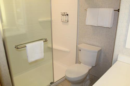 Bilik mandi di Holiday Inn Express & Suites - Beloit by IHG