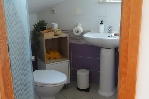 a bathroom with a toilet and a sink at Solar Hill Home in Žrnovo
