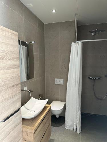 a bathroom with a sink and a toilet and a shower at Golf course around the corner! in Nieuwveen