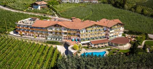 eine Luftansicht eines Hotels mit Weinberg in der Unterkunft Hotel Ifinger in Schenna