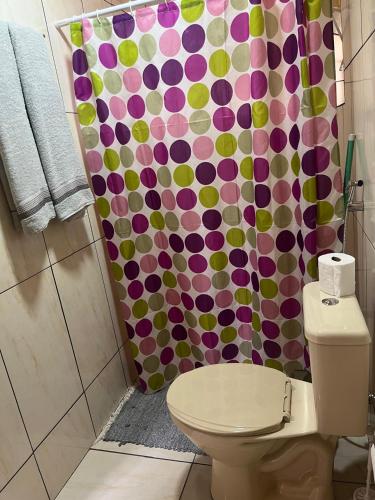 a bathroom with a toilet and a colorful shower curtain at Suites da Dorinha in Visconde De Maua