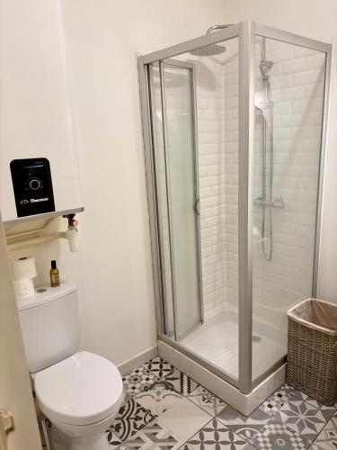 une salle de bain avec douche et toilettes dans l'établissement Étoile du Vieux Lyon, à Lyon