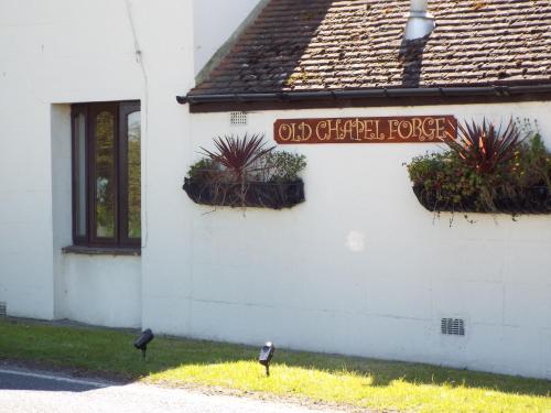 two birds standing outside of a white building at Old Chapel Forge in Chichester