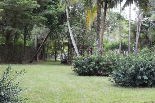 a yard with some bushes and palm trees at Royal Palms Villa, Pool, Spa, Private Gate, 1,5 acre in Delta