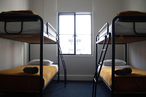 two bunk beds in a room with a window at Tuatara Lodge in Invercargill