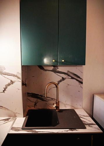 La cuisine est équipée d'un évier et d'une armoire verte. dans l'établissement Appartement de Charme sur l'Île Saint-Louis - Élégance & Authenticité au Cœur de Paris, à Paris