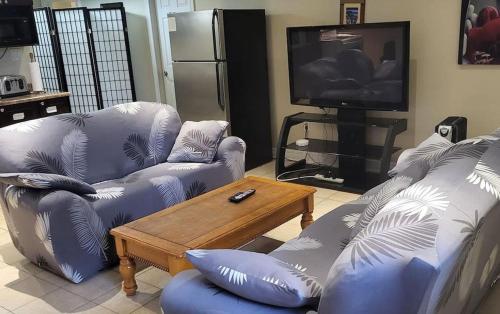 un salon avec deux canapés et une table basse dans l'établissement Appartement assafa, à Nevers